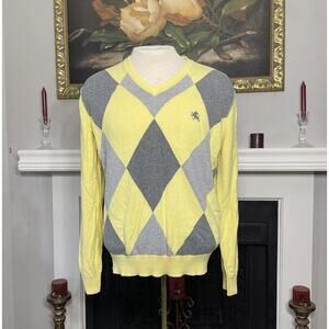 Express V-neck Light Knit Sweater Size Large